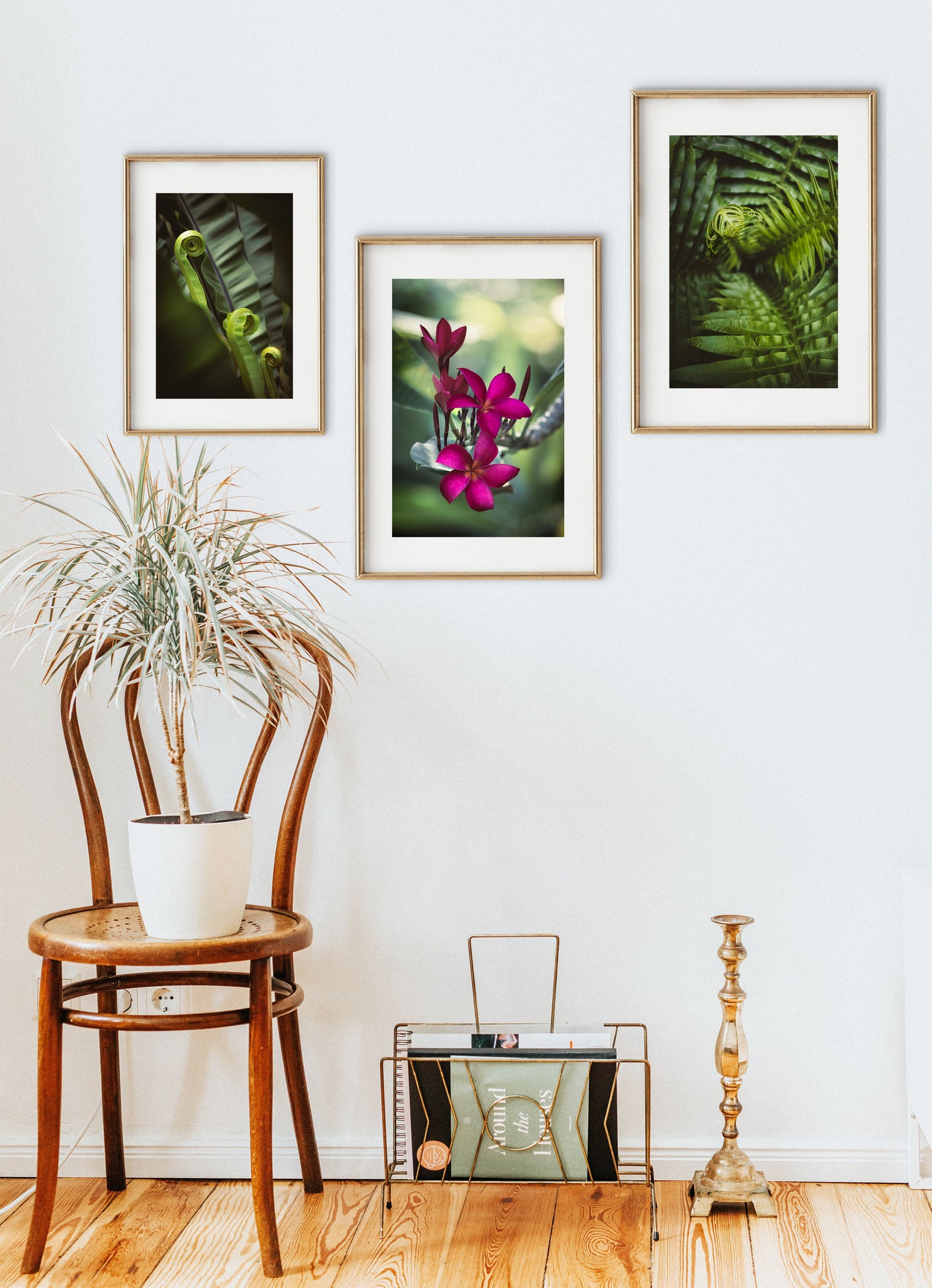 Digital Nature Prints - Botanical Collection - Set of 3