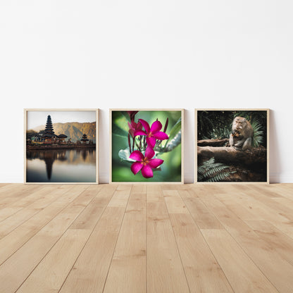 Digital Travel Prints - Bali Collection - set of 6