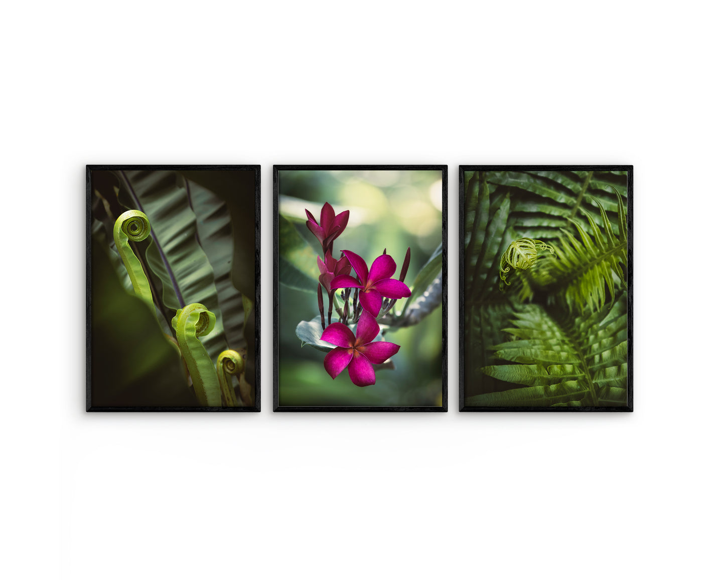 Digital Nature Prints - Botanical Collection - Set of 3