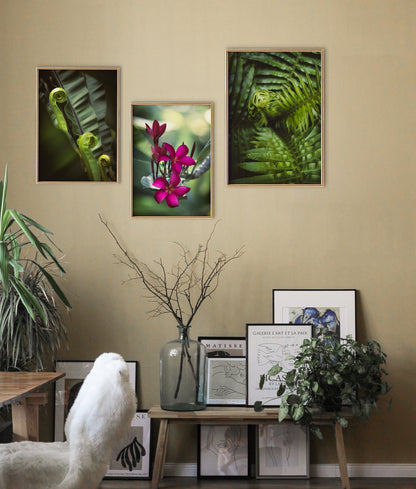Digital Nature Prints - Botanical Collection - Set of 3