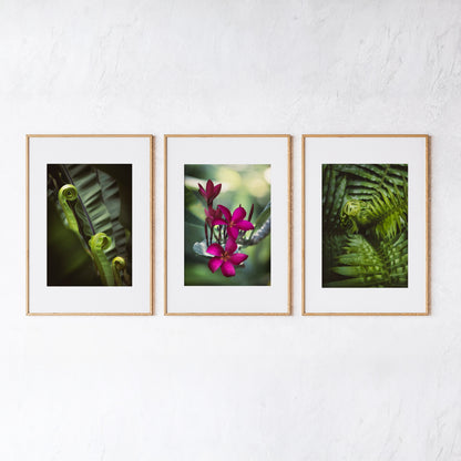 Digital Nature Prints - Botanical Collection - Set of 3