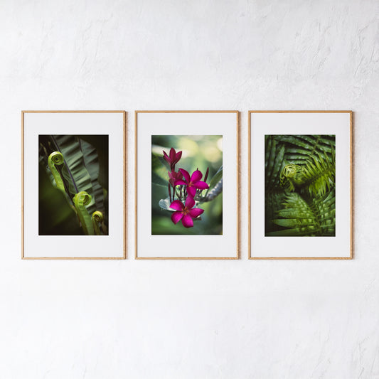 Digital Nature Prints - Botanical Collection - Set of 3