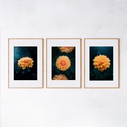 Digitale Natuurprints - Dahlia Collectie - Set van 3