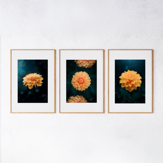 Digitale Natuurprints - Dahlia Collectie - Set van 3