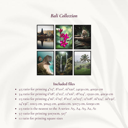 Digital Travel Prints - Bali Collection - set of 6